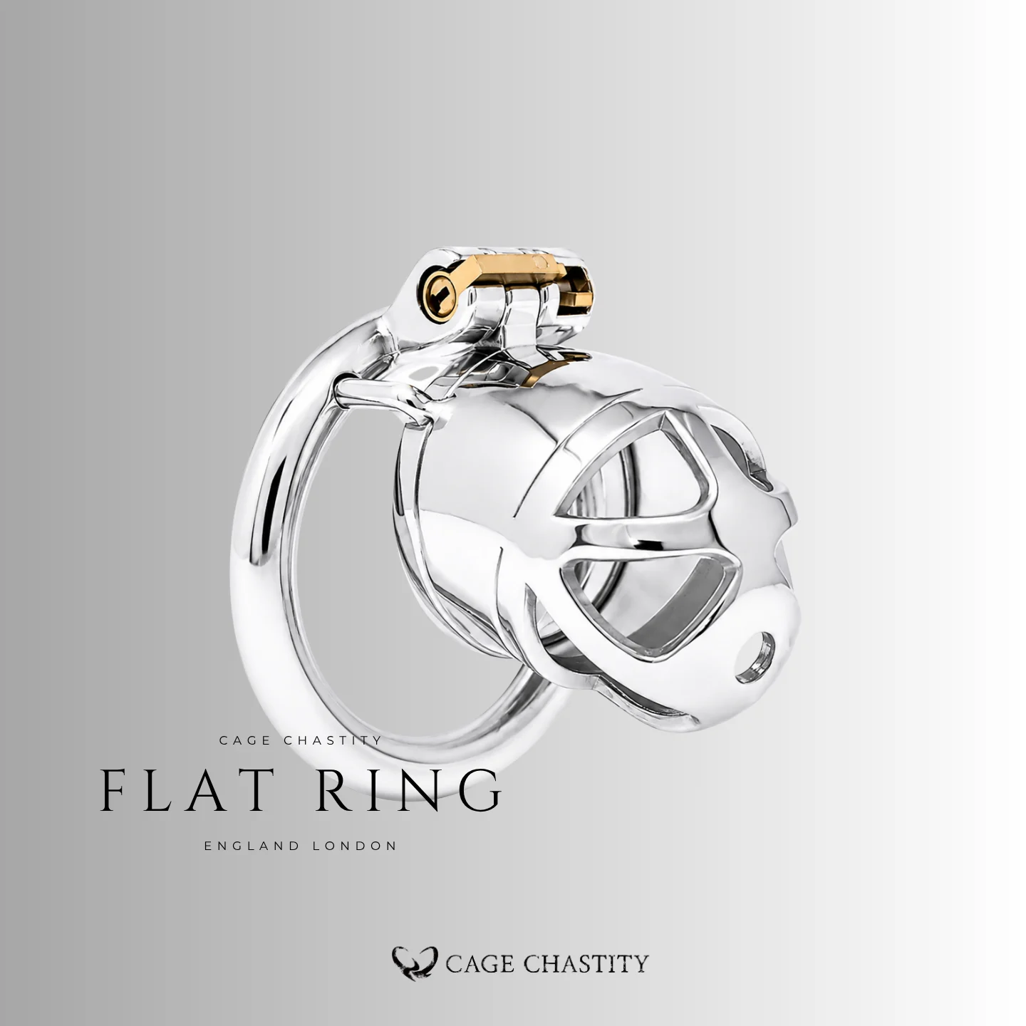 Stainless Male Chastity Cage – CCK1179