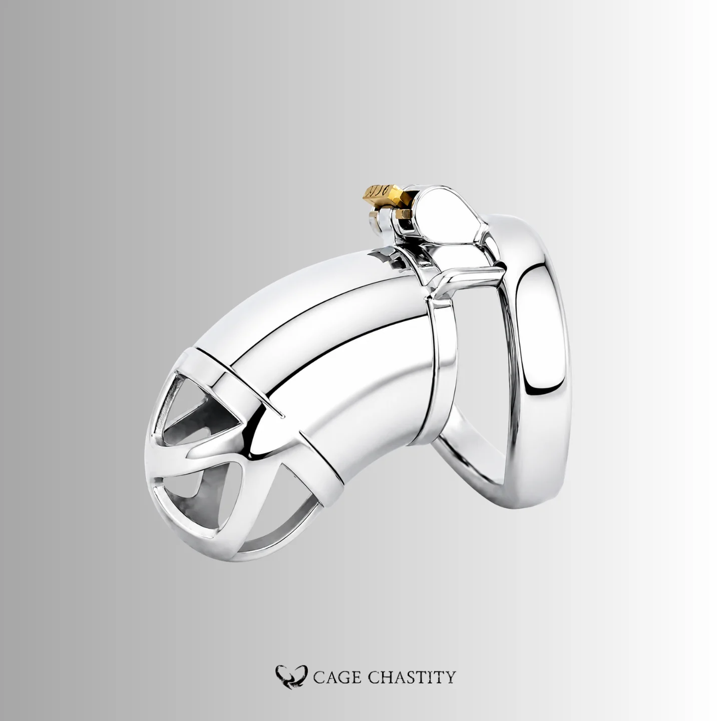 Stainless Male Chastity Cage – CCK1179