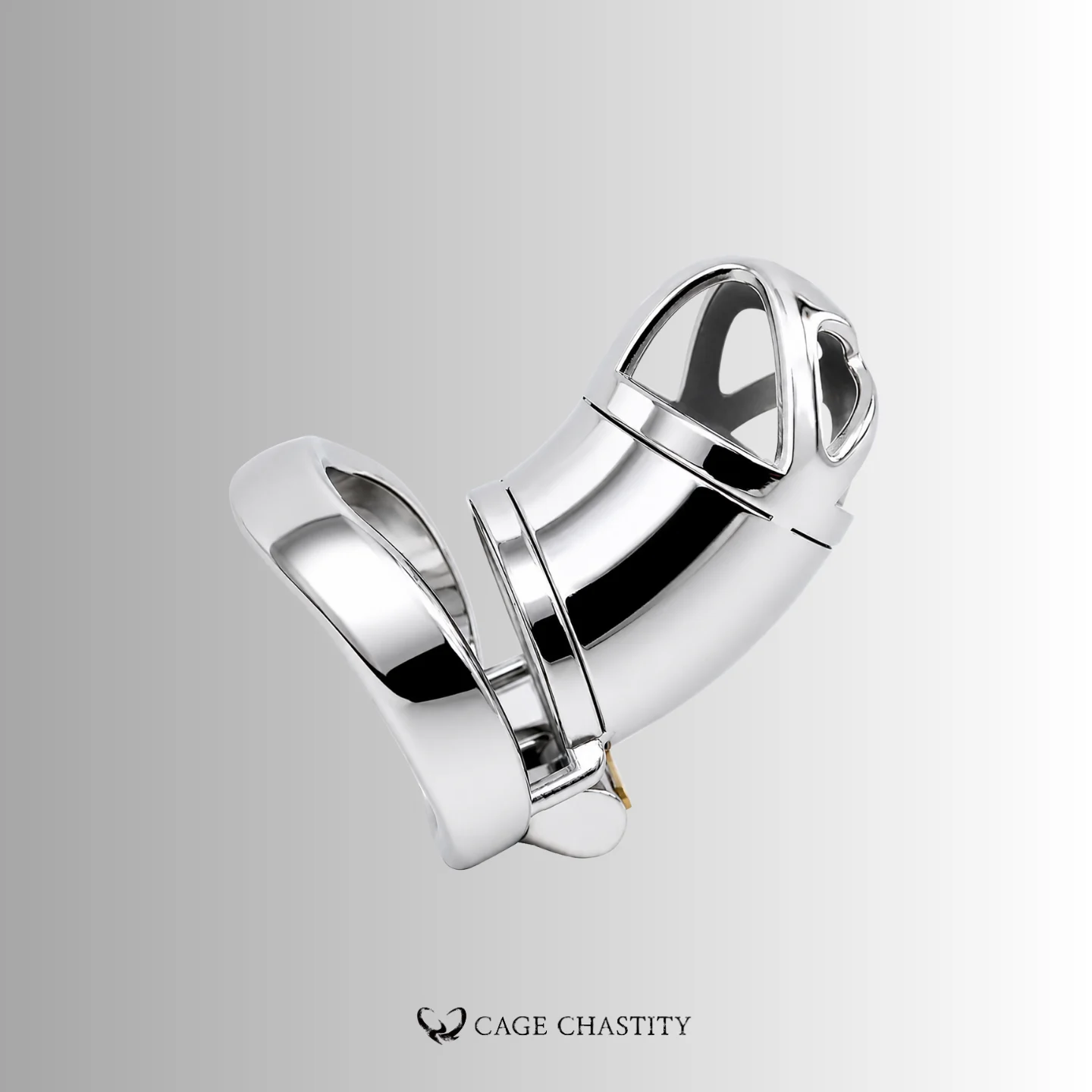 Stainless Male Chastity Cage – CCK1179