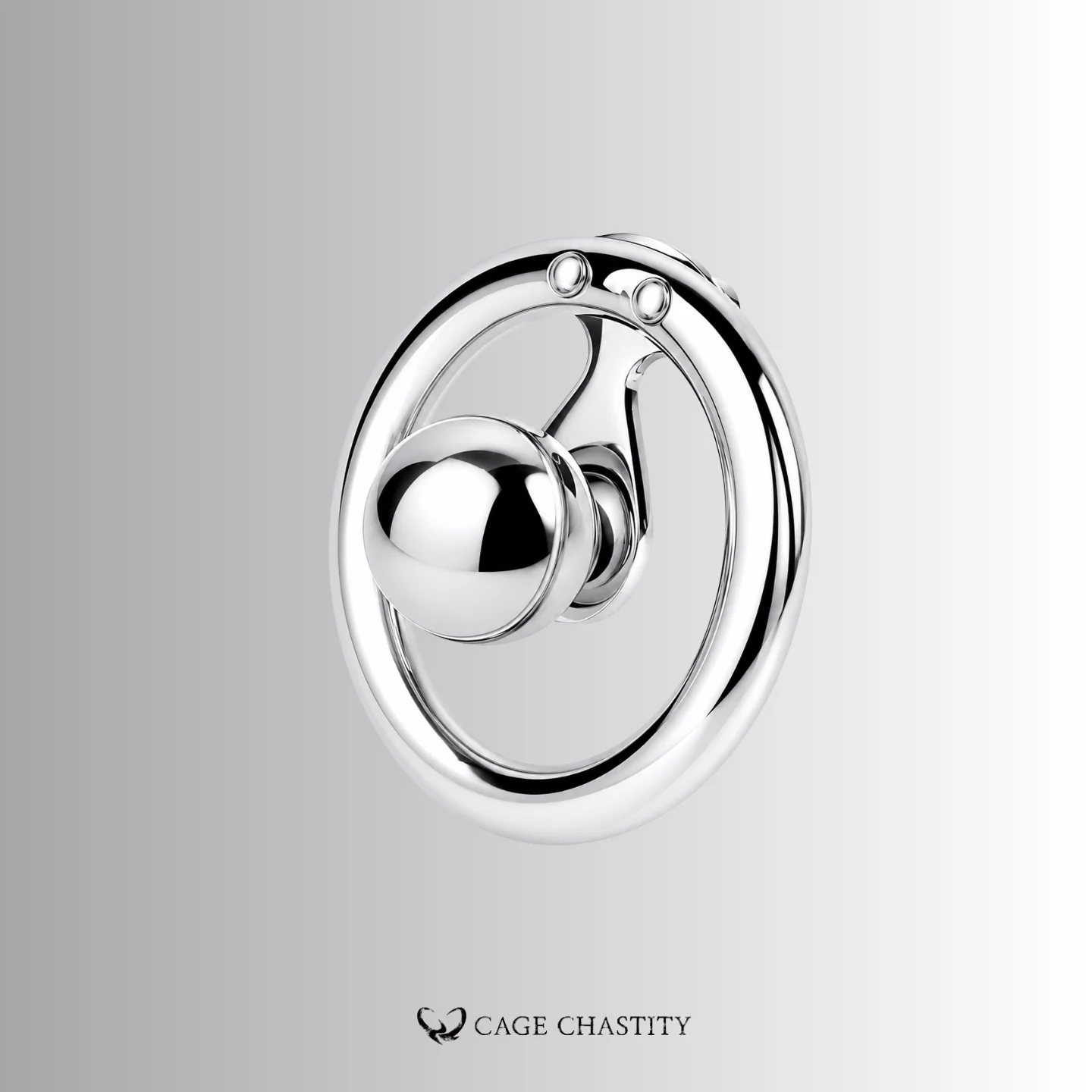 Ultimate Lockdown Chastity Cage – CCS1111