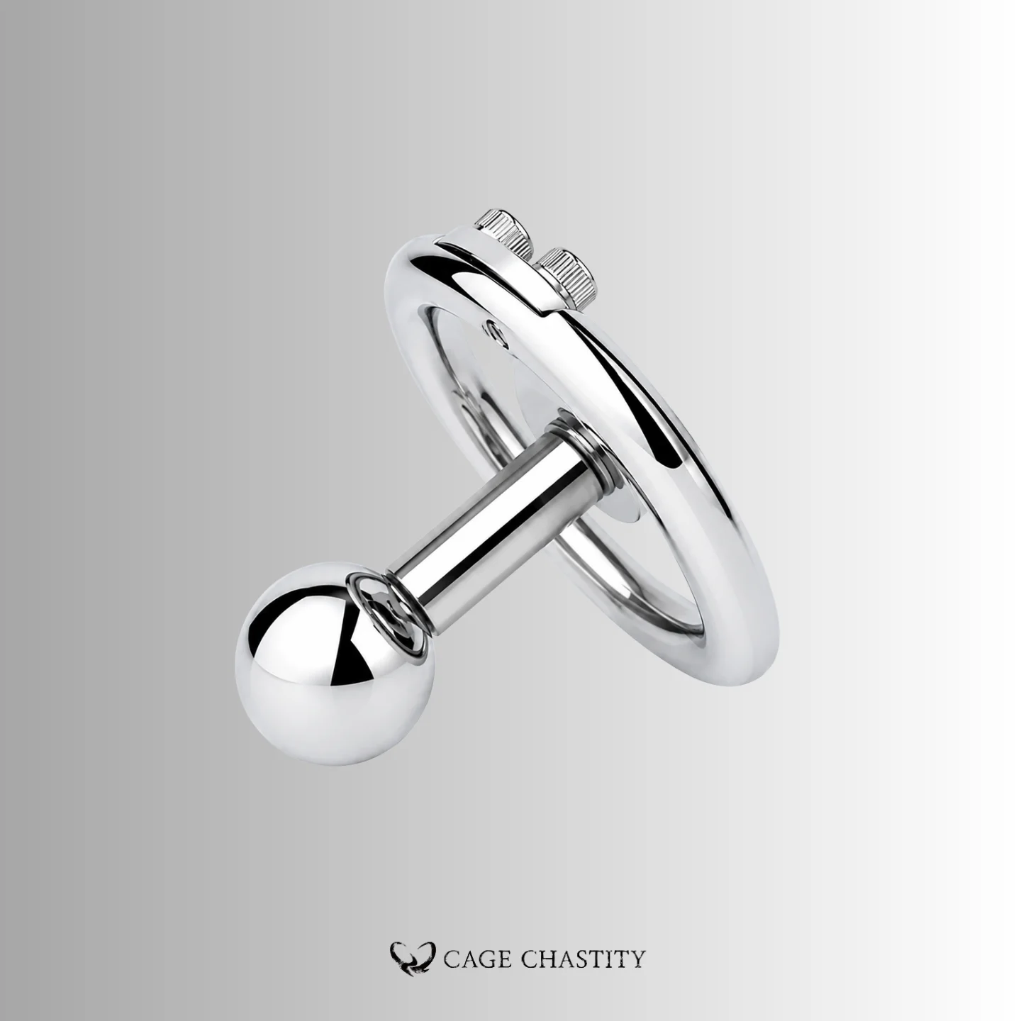 Ultimate Lockdown Chastity Cage – CCS1111