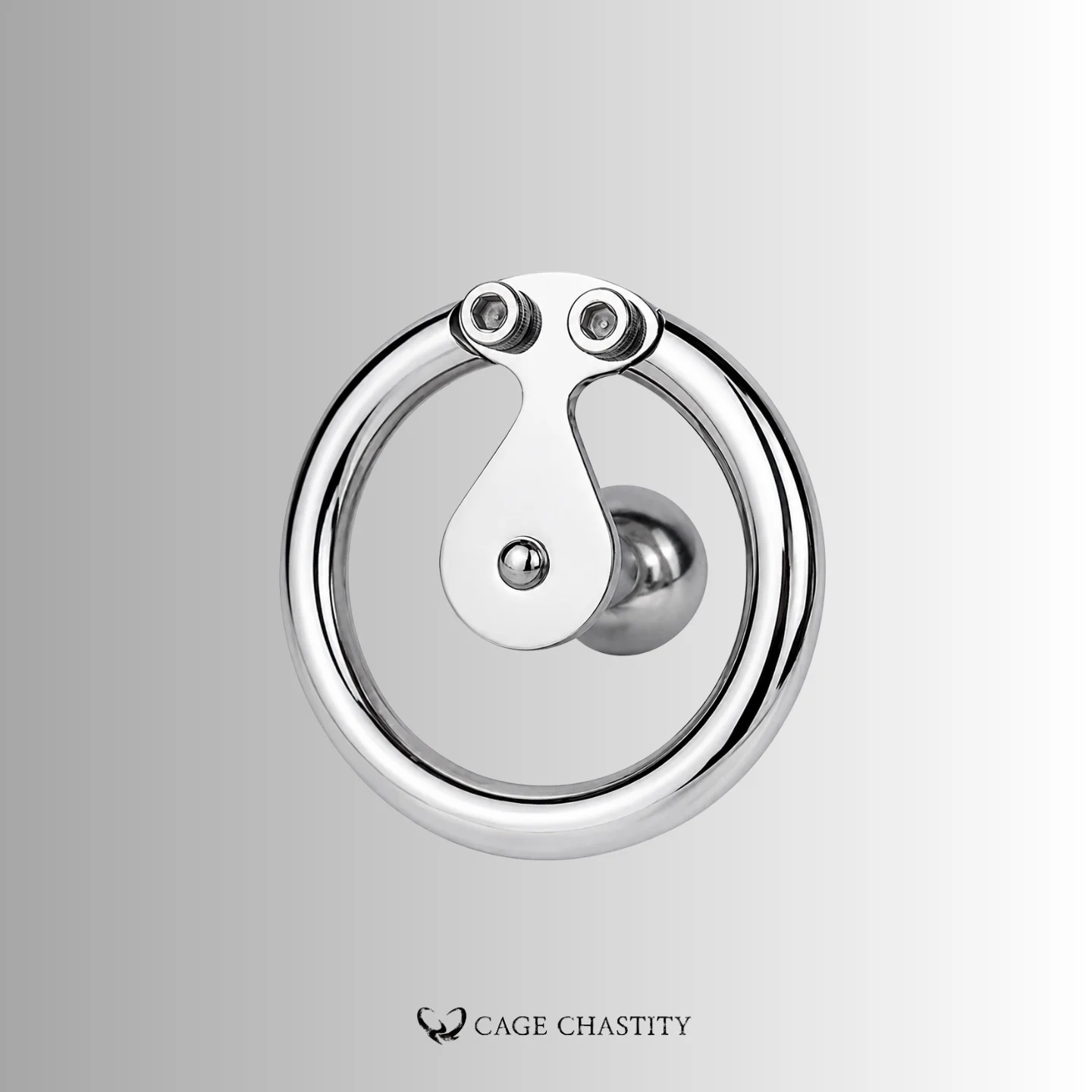 Ultimate Lockdown Chastity Cage – CCS1111