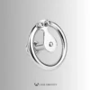 Ultimate Lockdown Chastity Cage – CCS1111