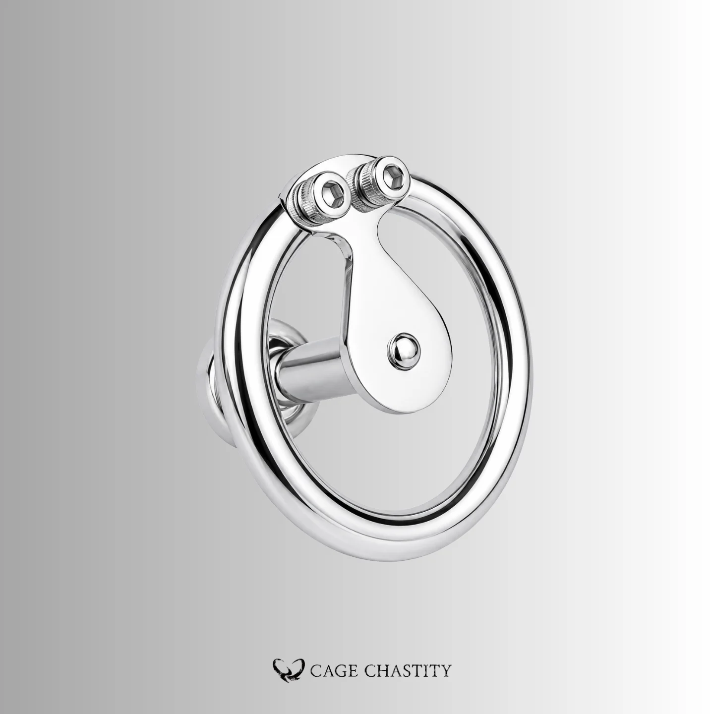 Ultimate Lockdown Chastity Cage – CCS1111