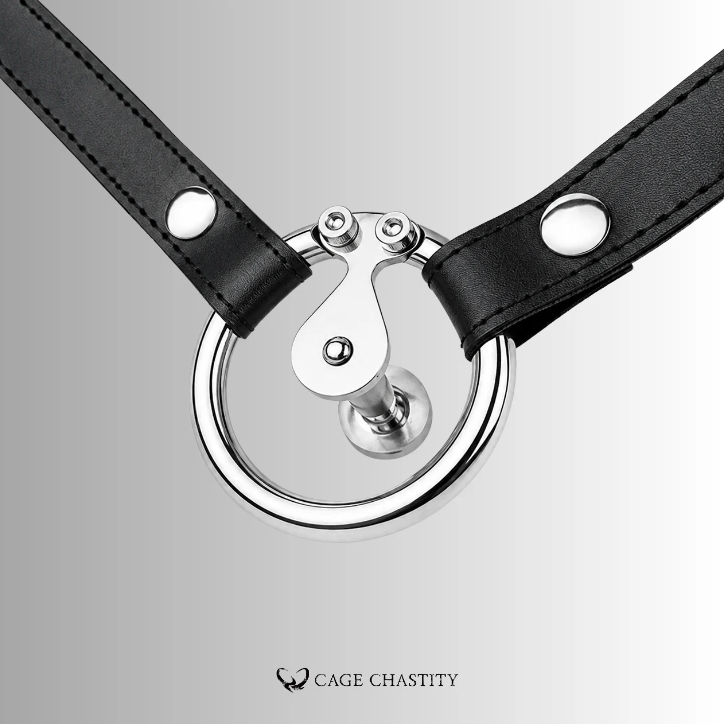 Ultimate Lockdown Chastity Cage – CCS1111