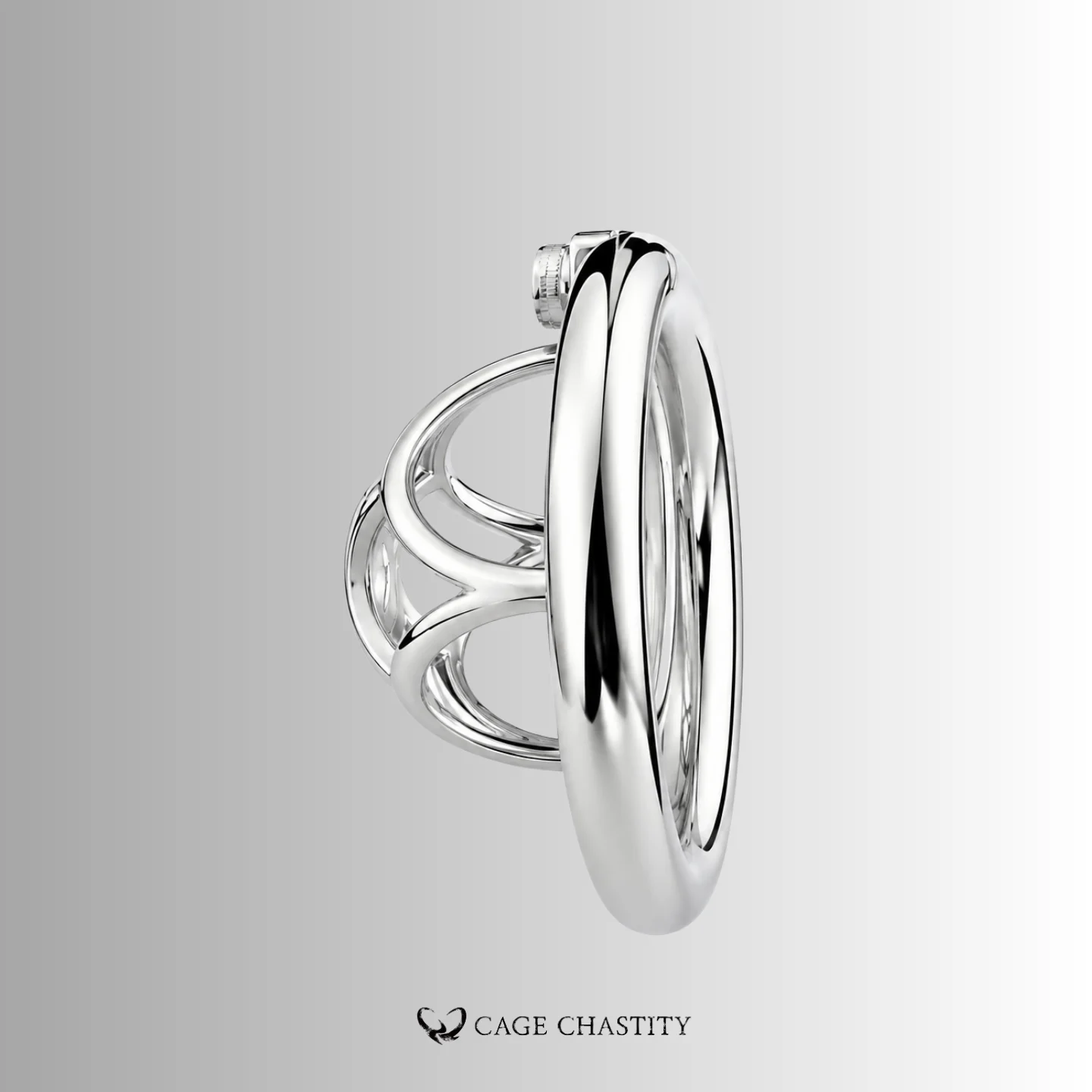 Small Chastity Cage – IronPet – CCS1112