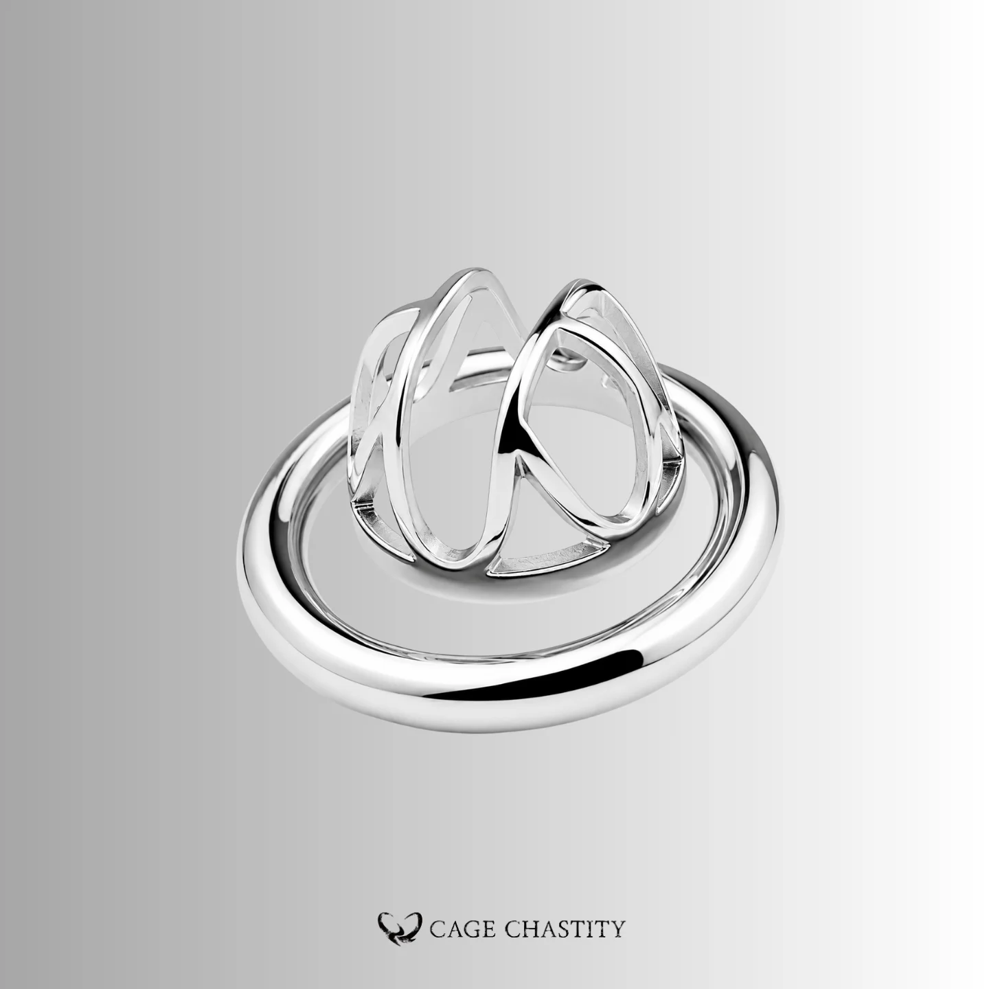 Visual Control Chastity Cage – CCS1202