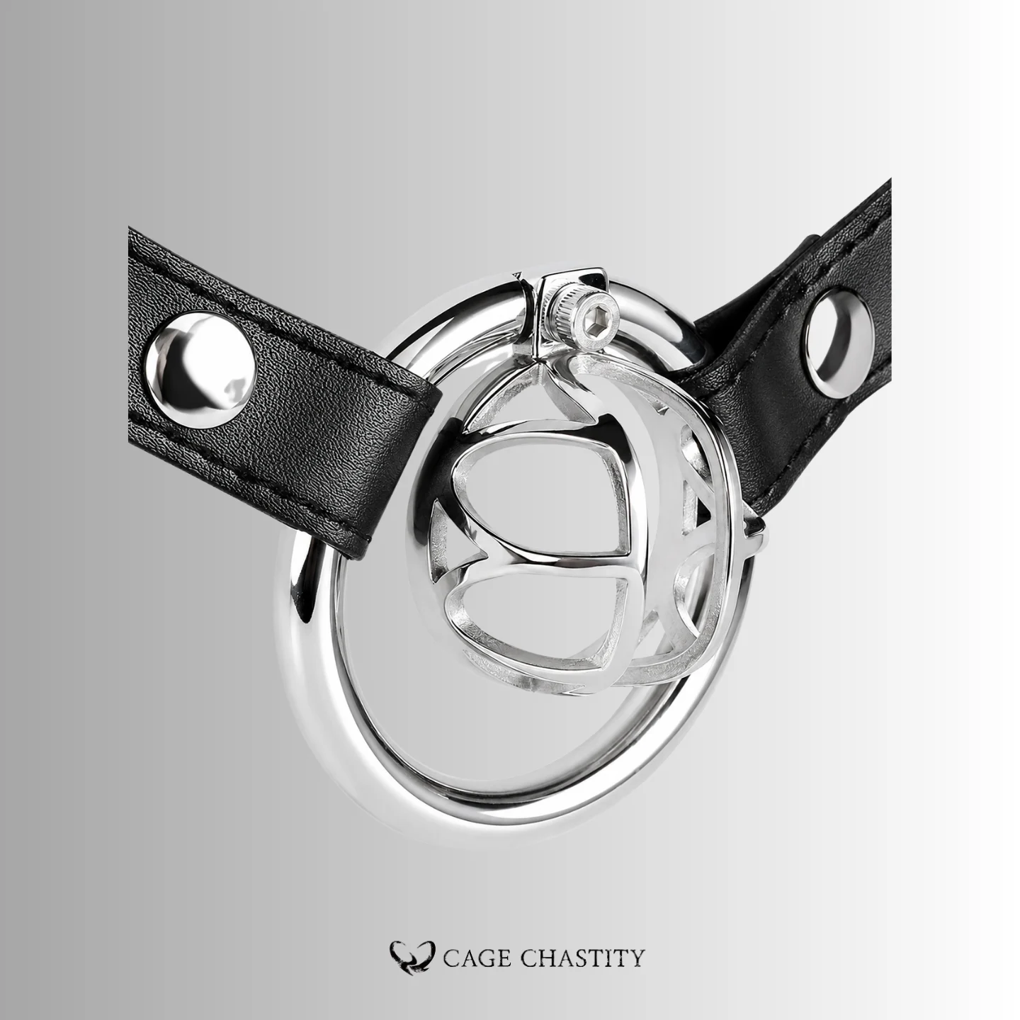 Visual Control Chastity Cage – CCS1202