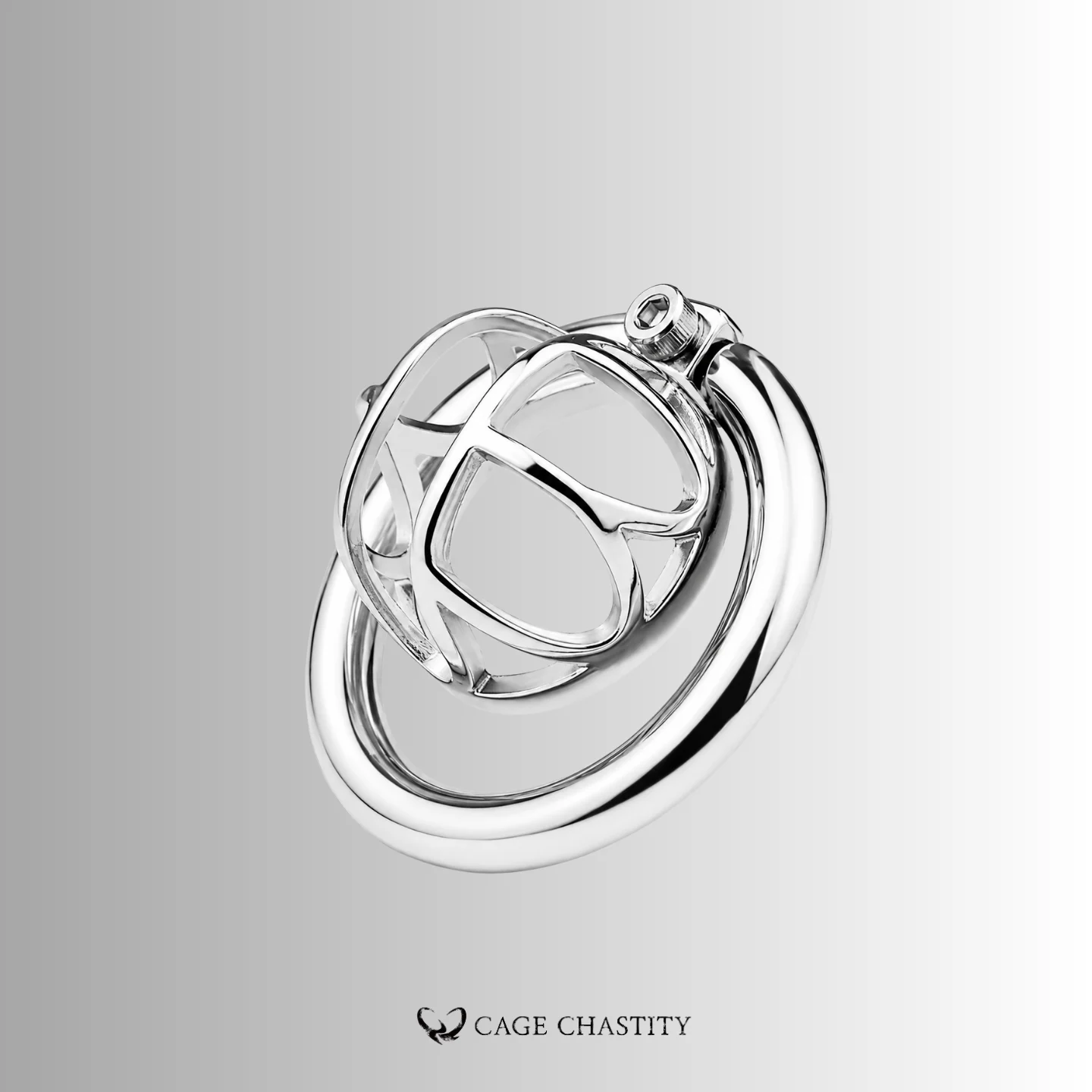 Visual Control Chastity Cage – CCS1202