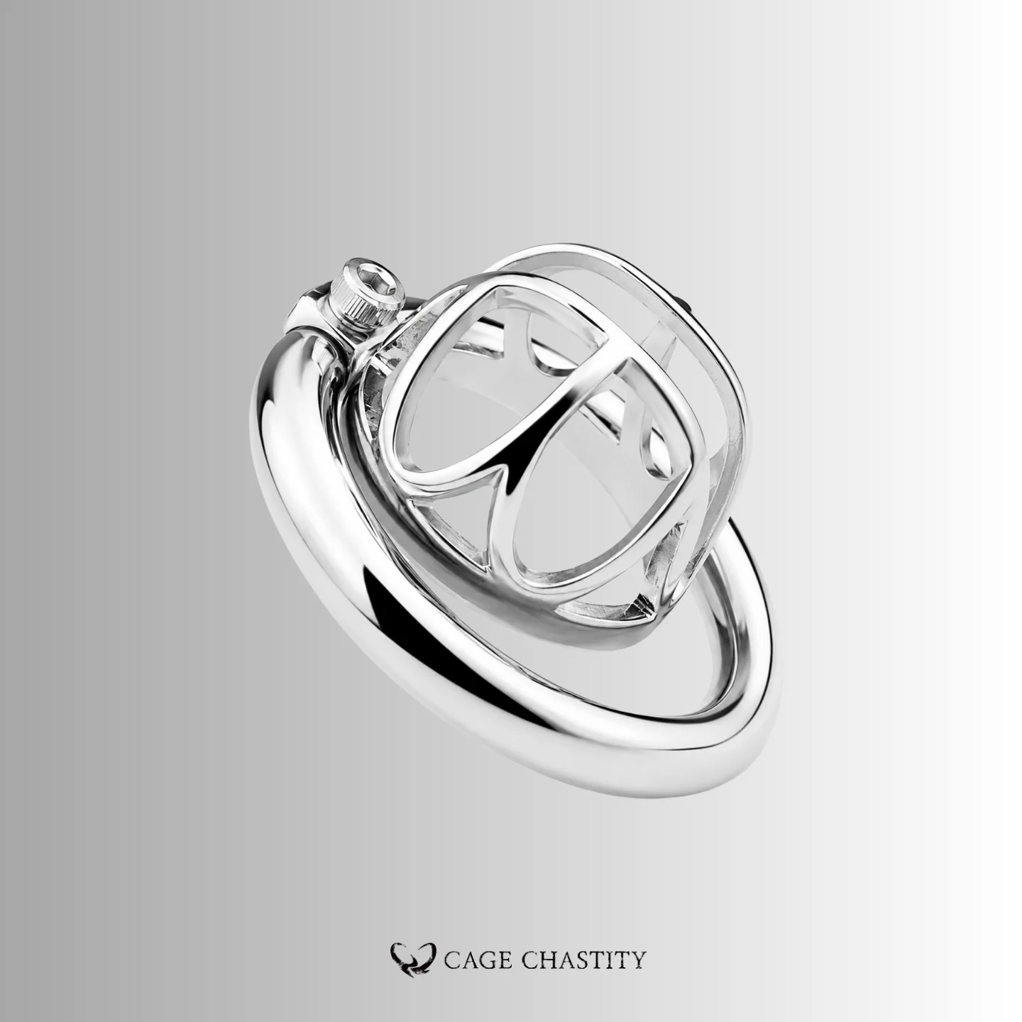 Visual Control Chastity Cage – CCS1202
