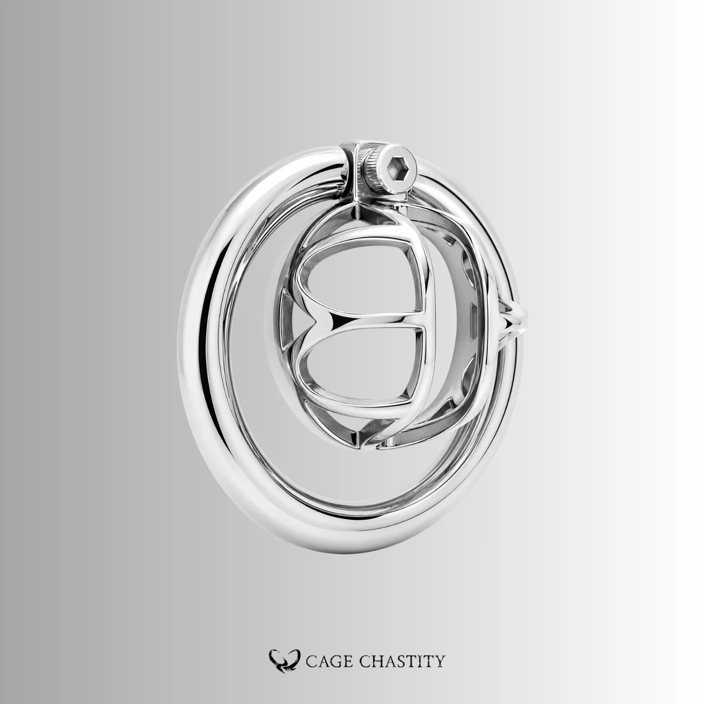 Visual Control Chastity Cage – CCS1202