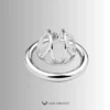 Visual Control Chastity Cage – CCS1202