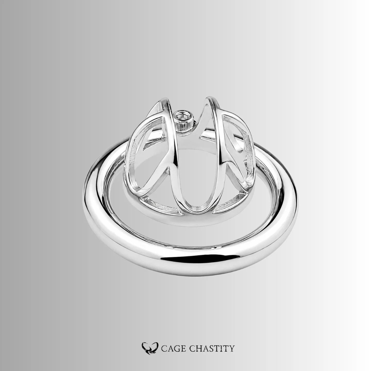 Visual Control Chastity Cage – CCS1202