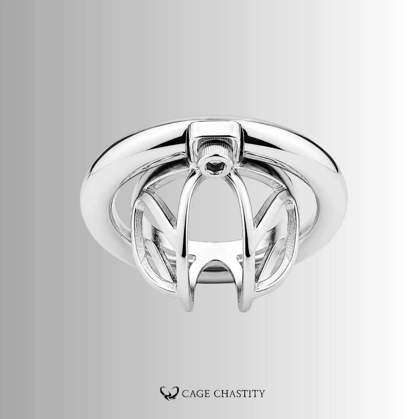 Visual Control Chastity Cage – CCS1202