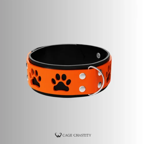 PAWLOCK – Custom Silicone Locking Collar