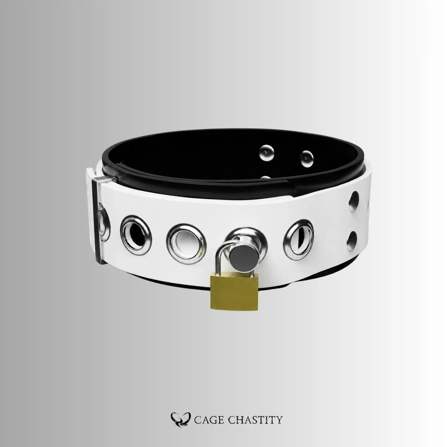 PAWLOCK – Custom Silicone Locking Collar