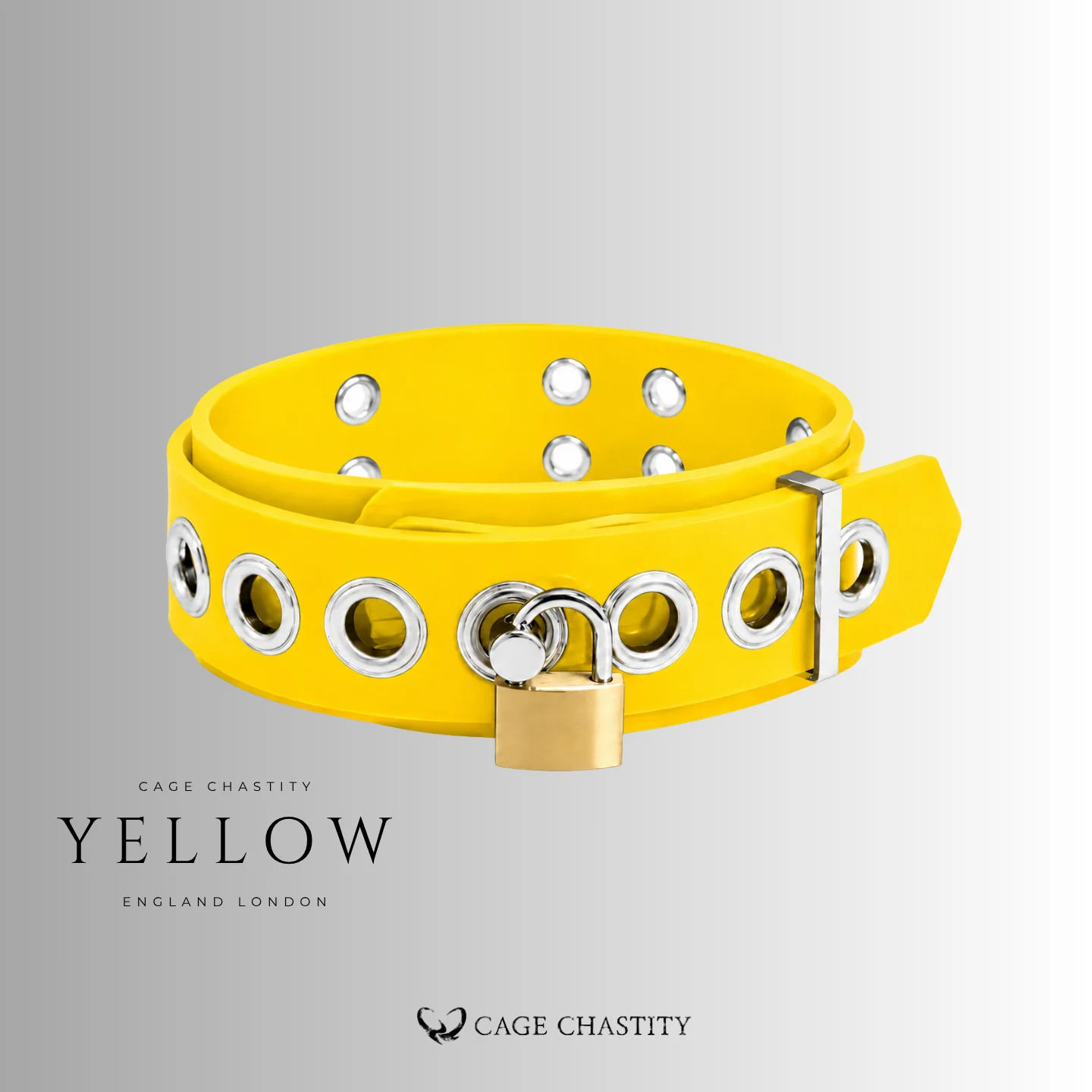 Dual-Layer Silicone Locking Collar