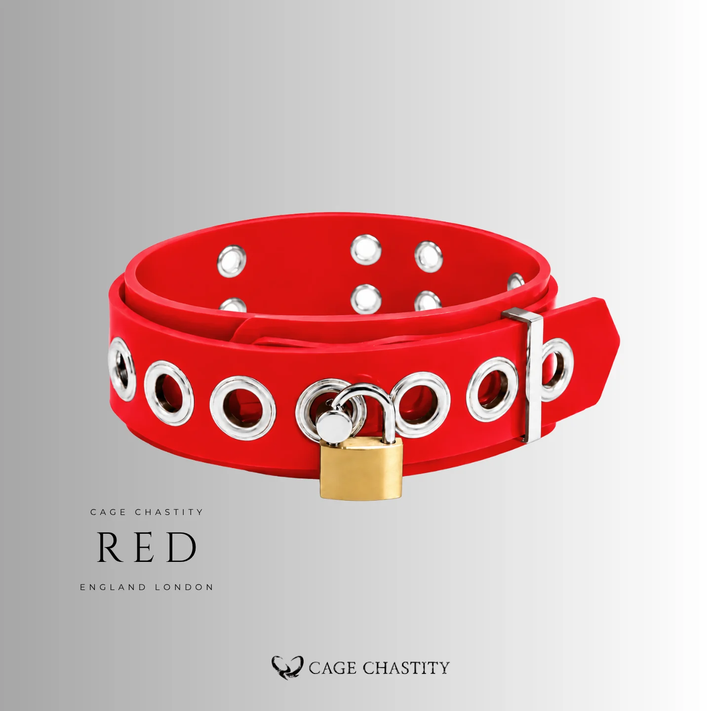 Dual-Layer Silicone Locking Collar