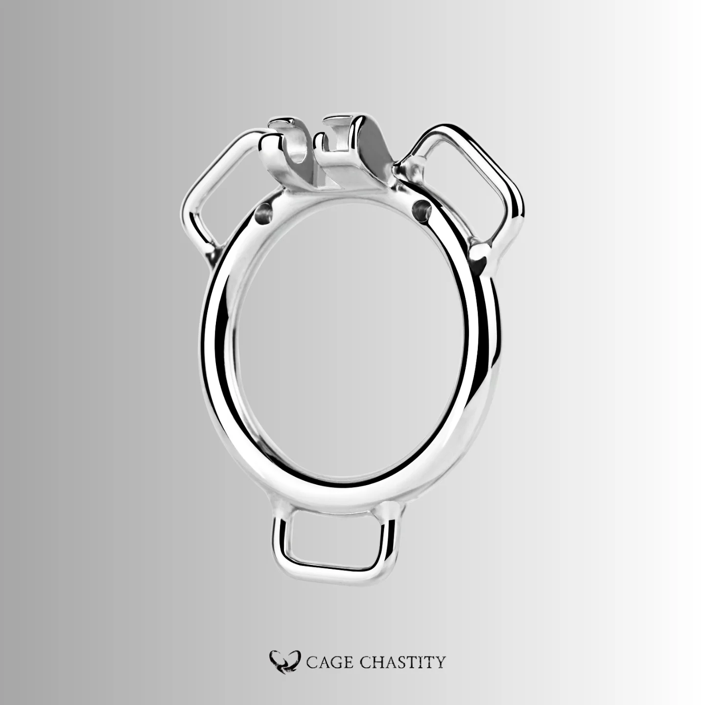 Three-Way Belt Wearable Stainless Steel Ring – Flat & Arc