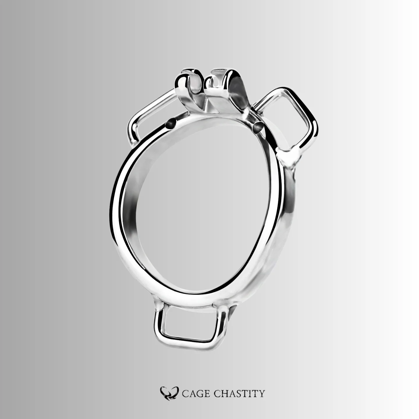 Three-Way Belt Wearable Stainless Steel Ring – Flat & Arc