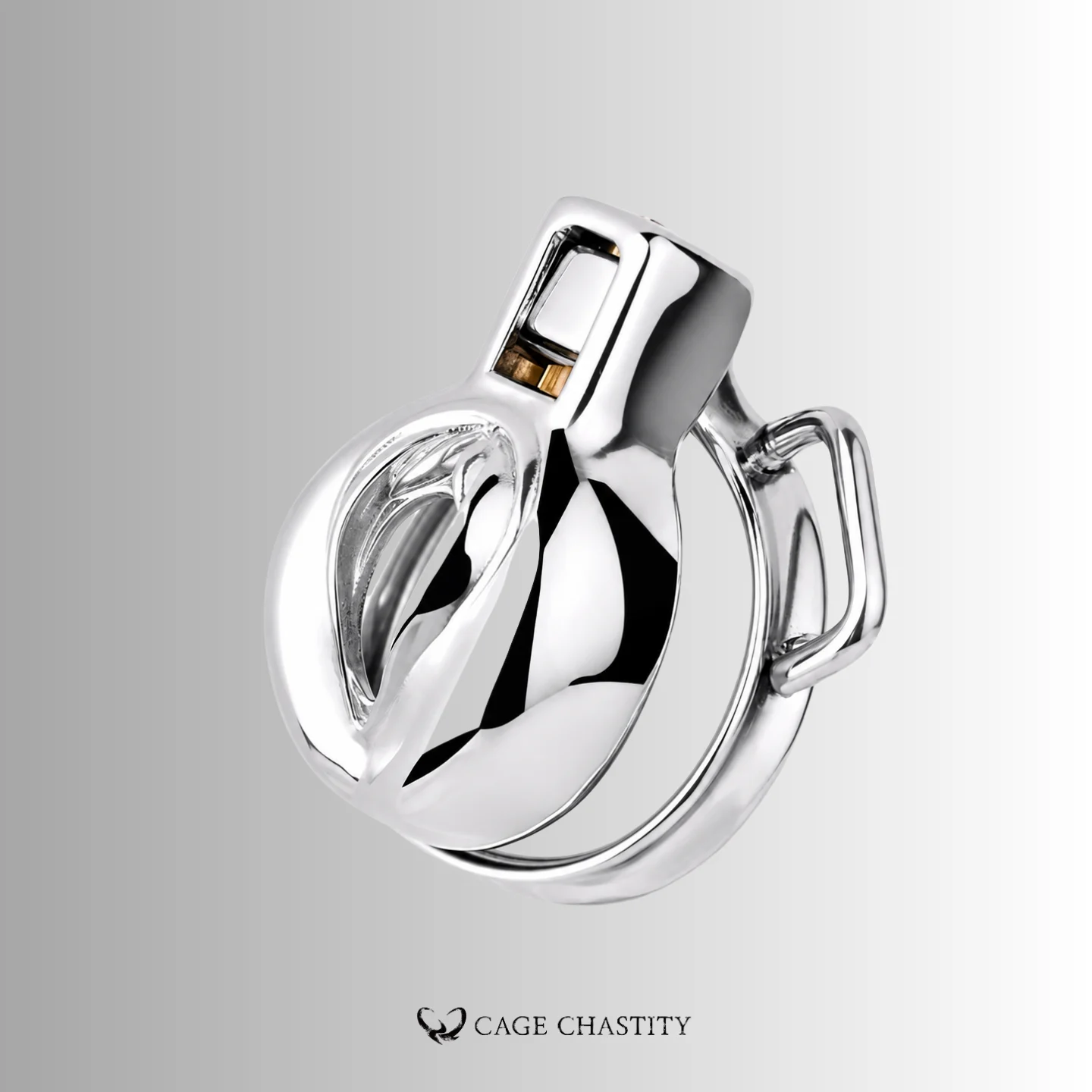 Wearable Steel Vulva Chastity Cage – Top-Entry Key Lock – CCK1003
