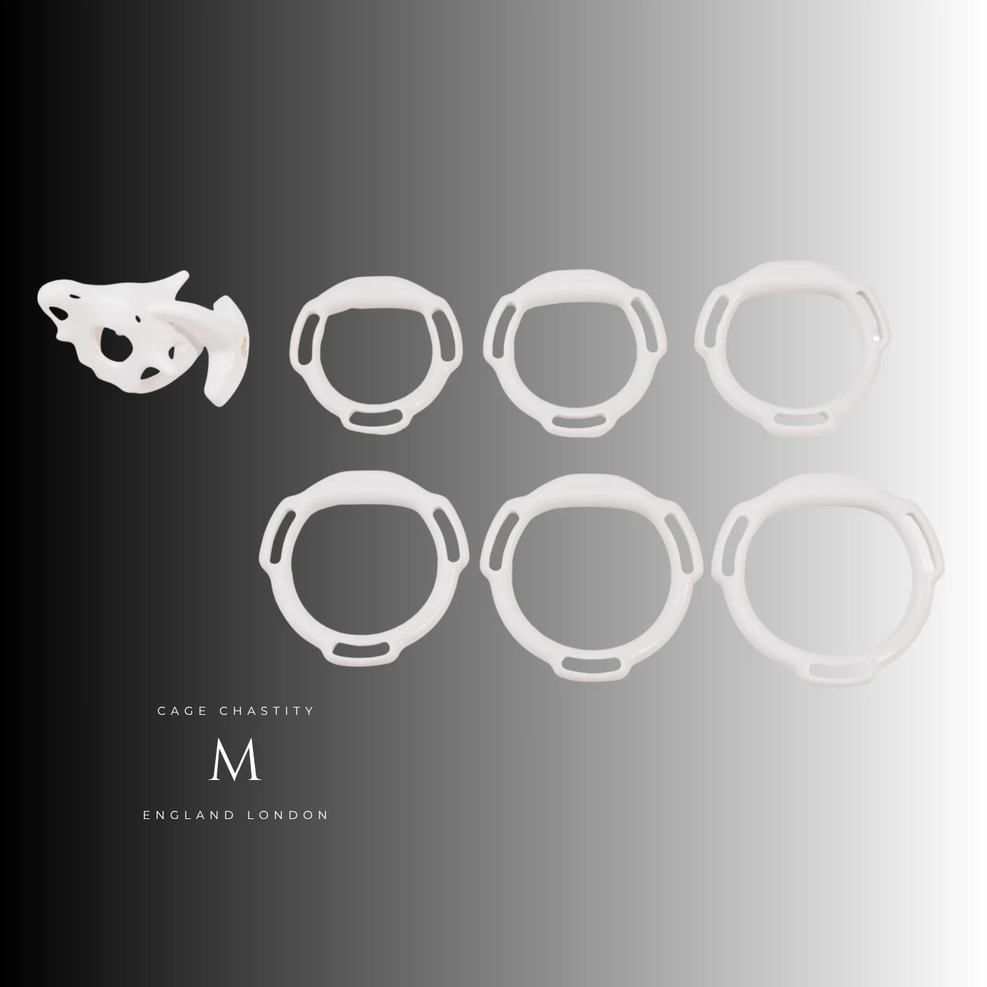 Dragon Skull Chastity Cage