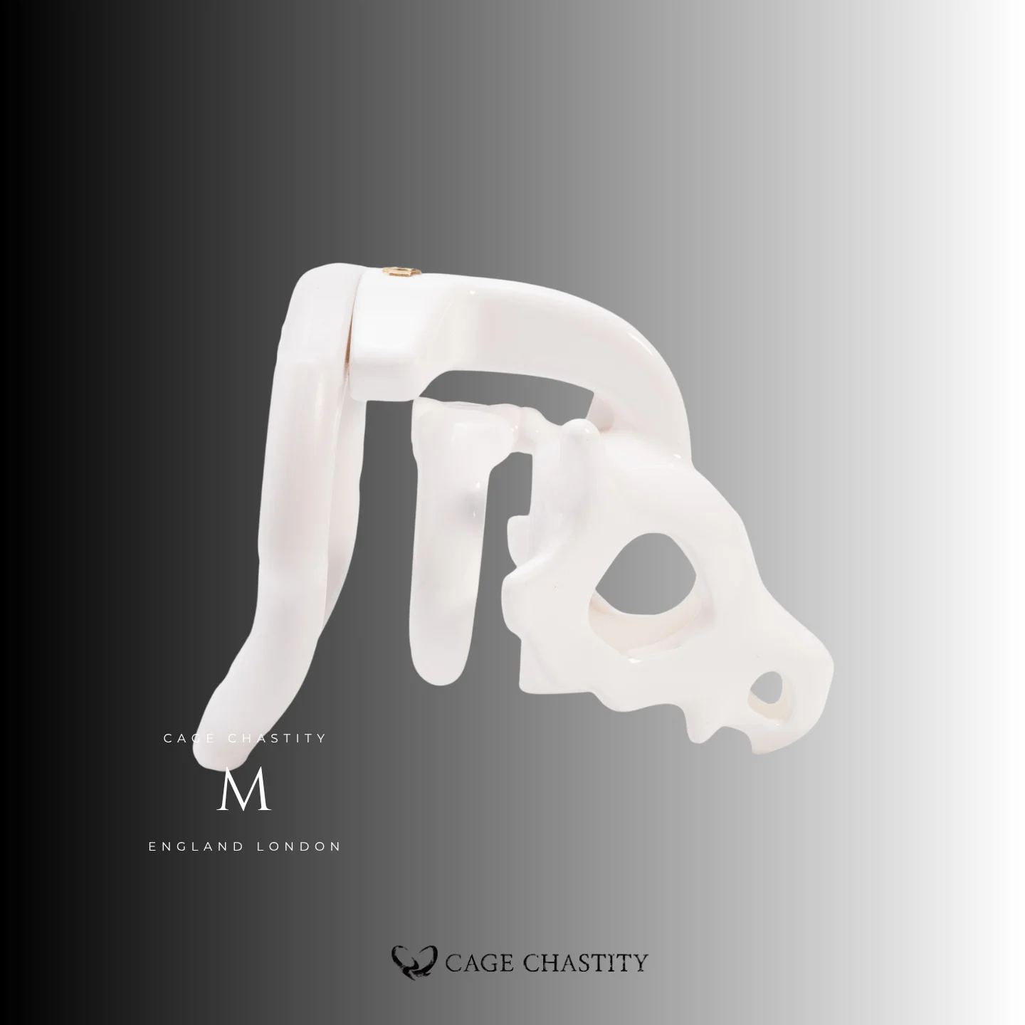 Dragon Skull Chastity Cage