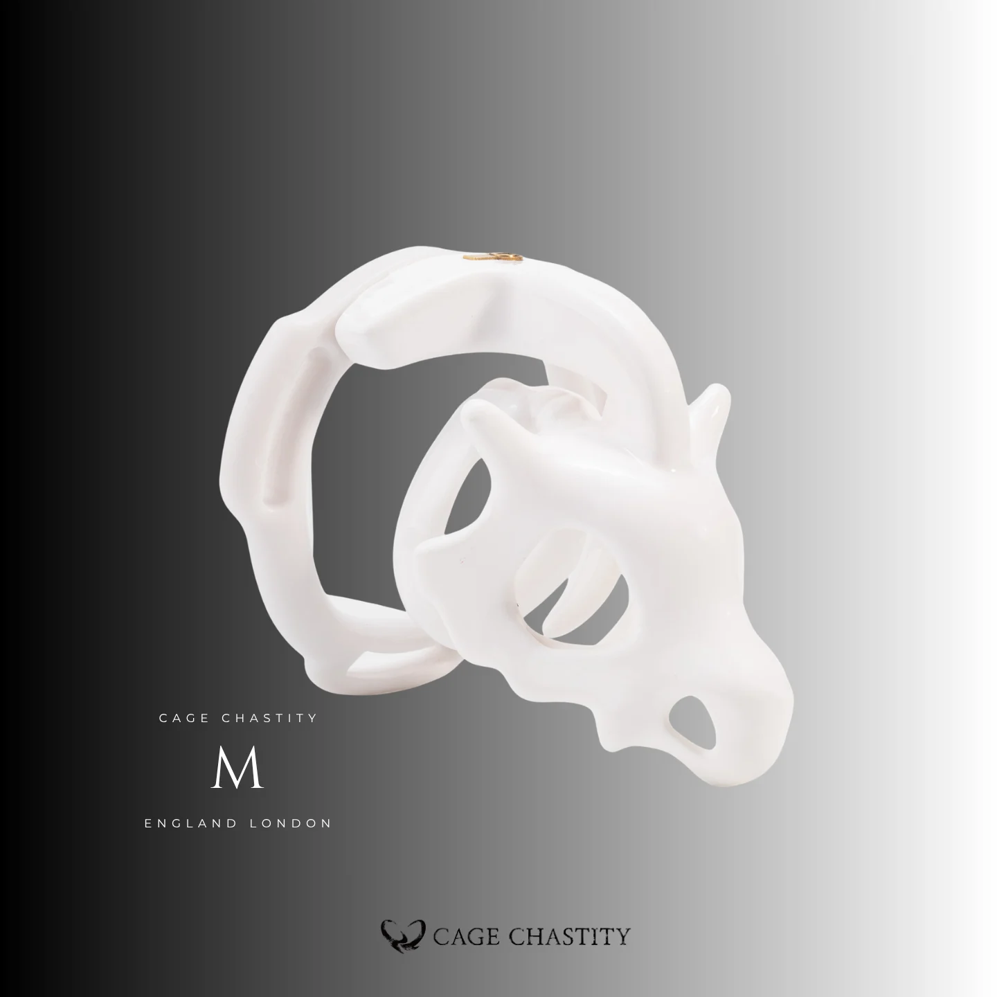 Dragon Skull Chastity Cage