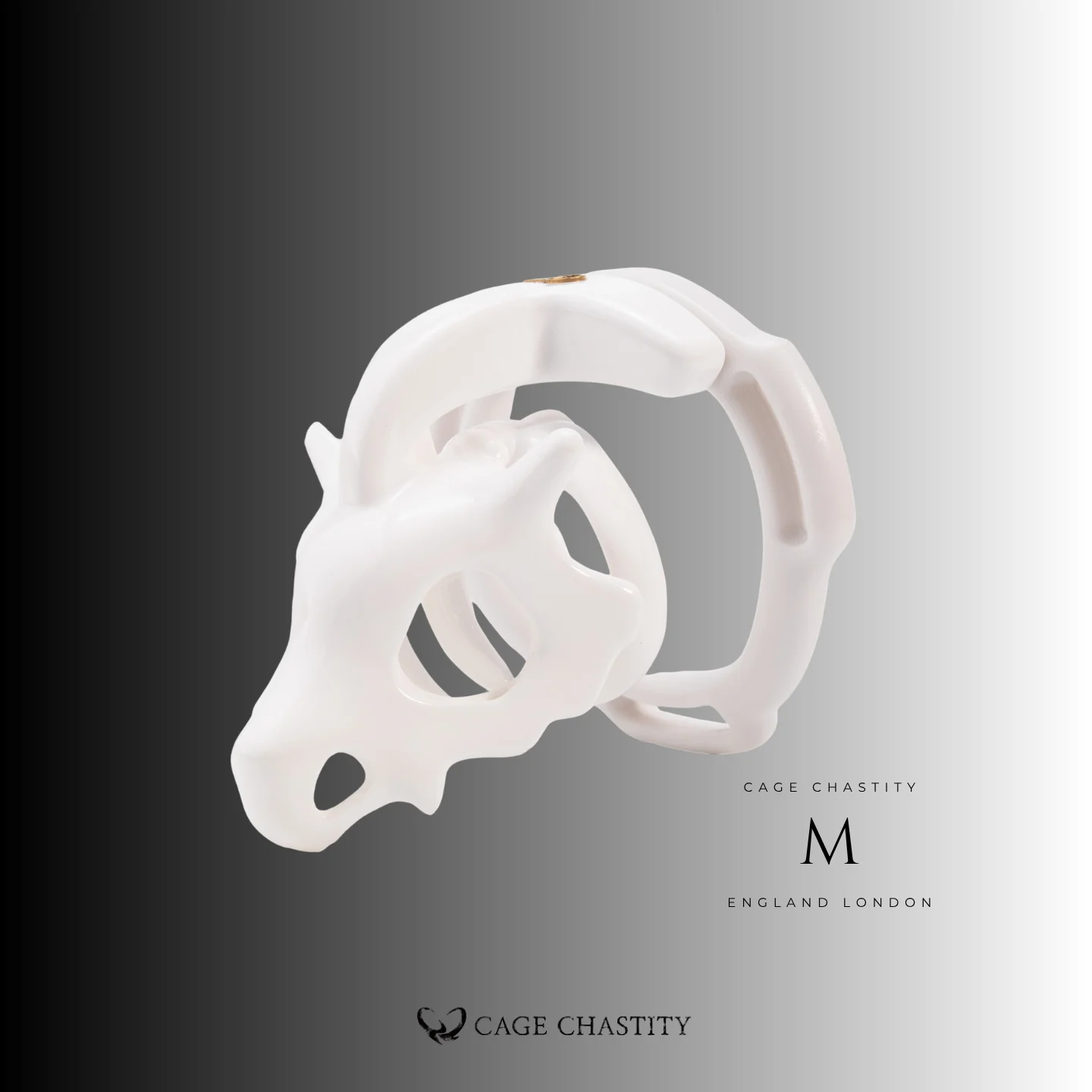 Dragon Skull Chastity Cage
