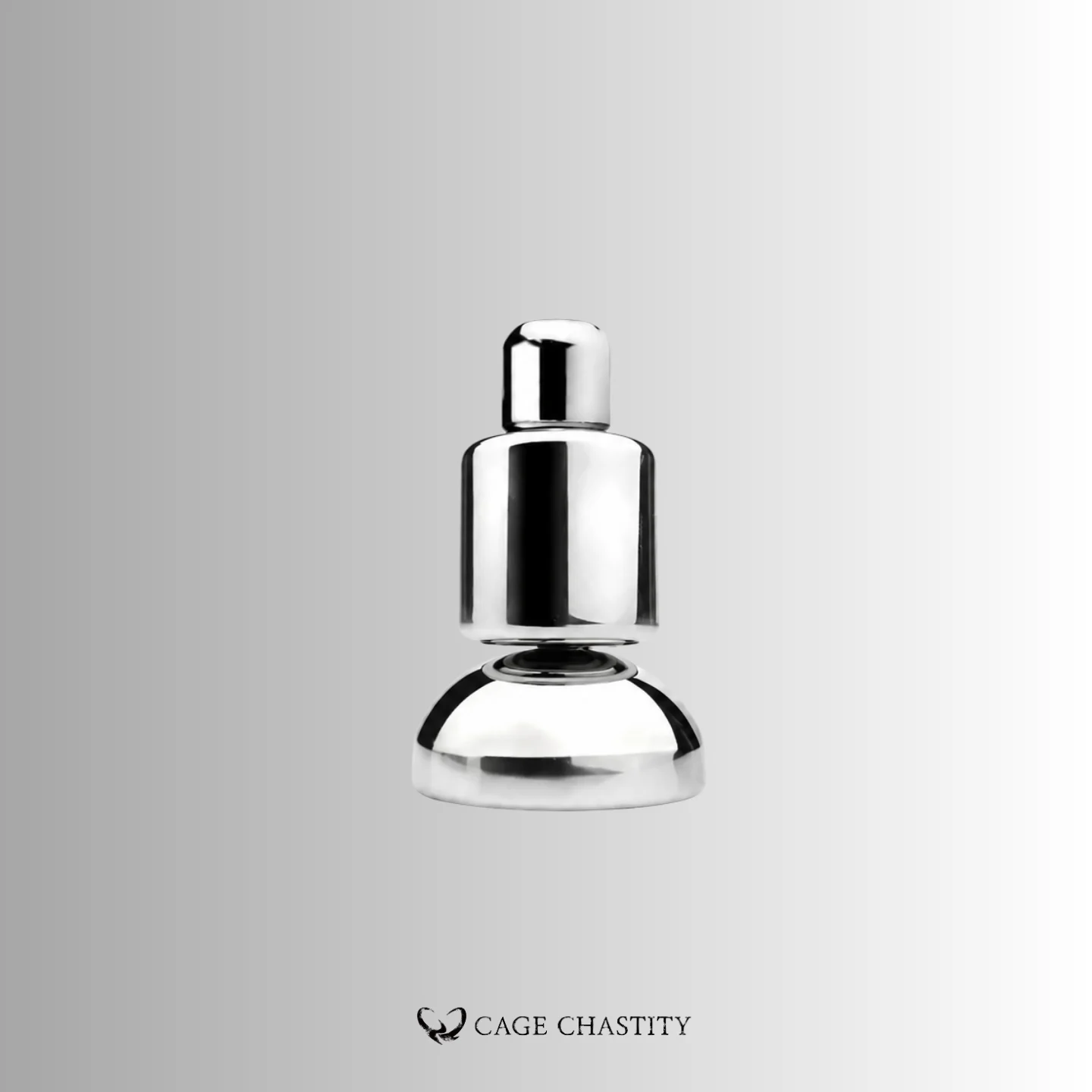 Feminine Contour Steel Chastity Restraint - CCY02