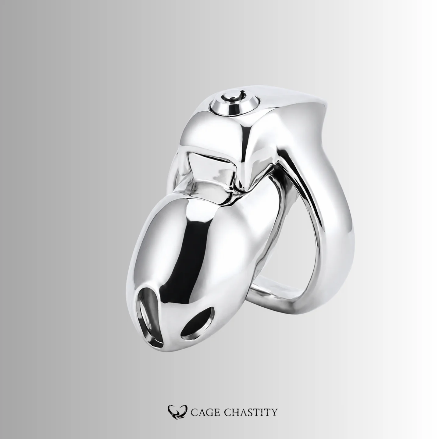 Holy Trainer V5 Steel cage paired with its integrated locking ring