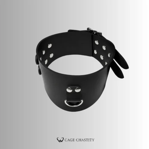 Lockable Silicone Hood Collar – Standard & Control Edition