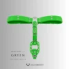 Silicone Puppy Play Belt – Chastity Cage & Tail Compatible