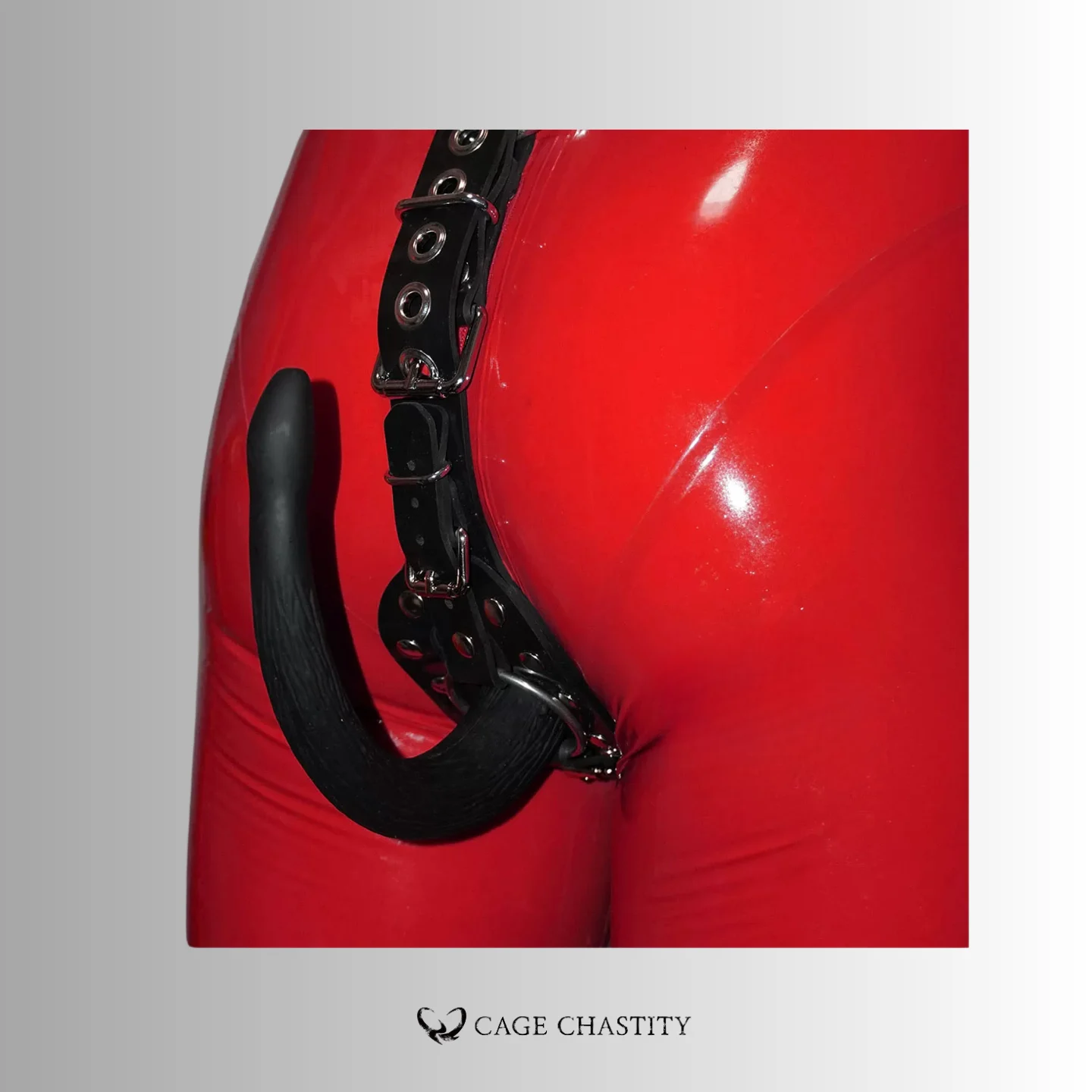 Silicone Puppy Play Belt – Chastity Cage & Tail Compatible