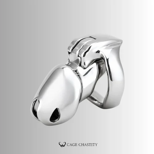Silver Steel Holy Trainer V4 Chastity Cage