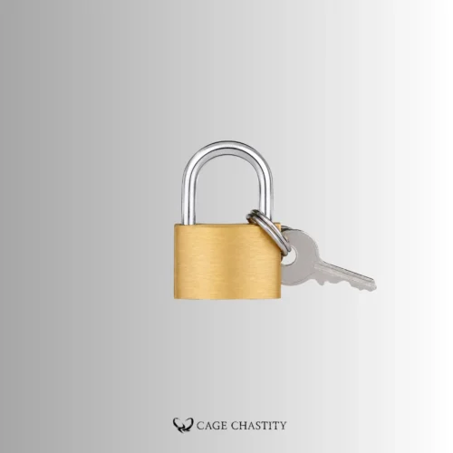Solid Brass Mini Padlock – Cage & Restraint Sizes