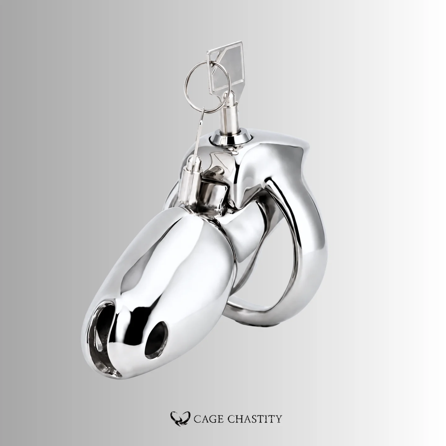 Polished Steel HTV5 unlocked with its key and base ring
