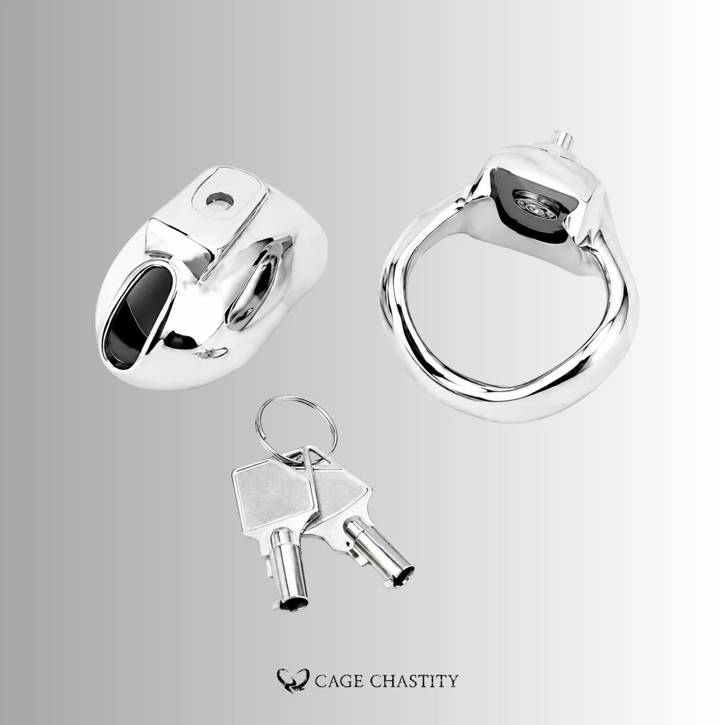 Complete Holy Trainer V5 Steel set with cage, ring and keys