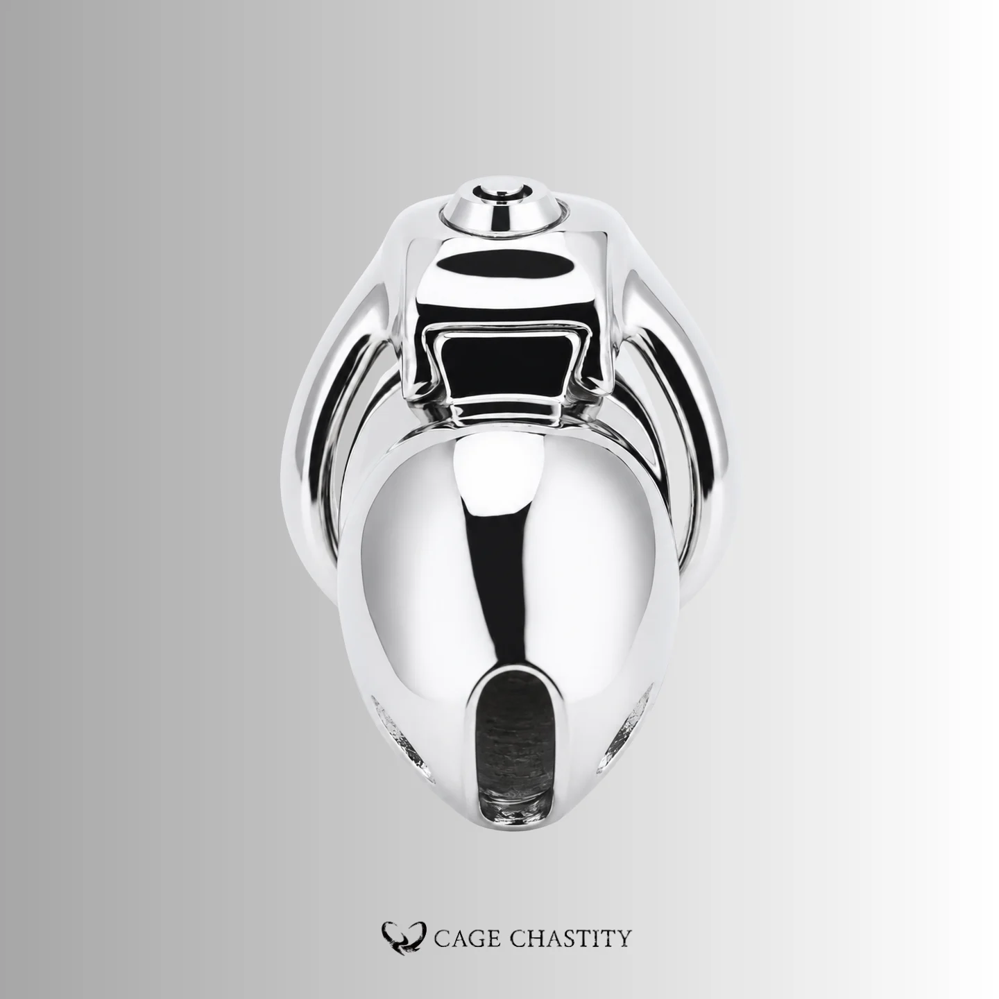 Front view of the metal Holy Trainer V5 and base ring