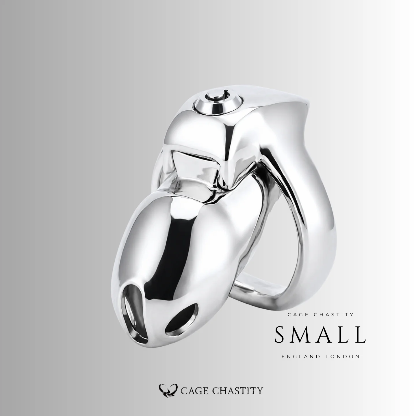 Small metal HT V5 cage with a polished steel ring