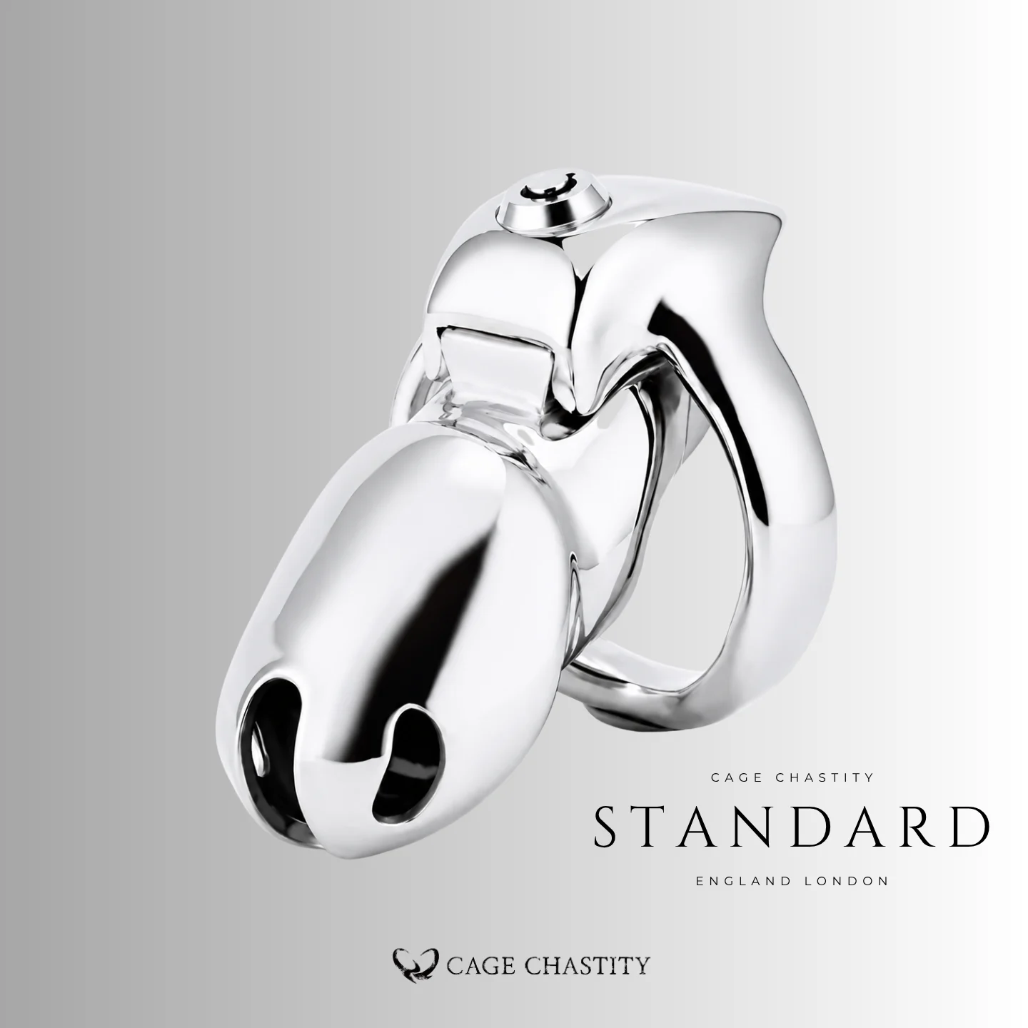 Standard-size Steel HTV5 chastity cage and base ring