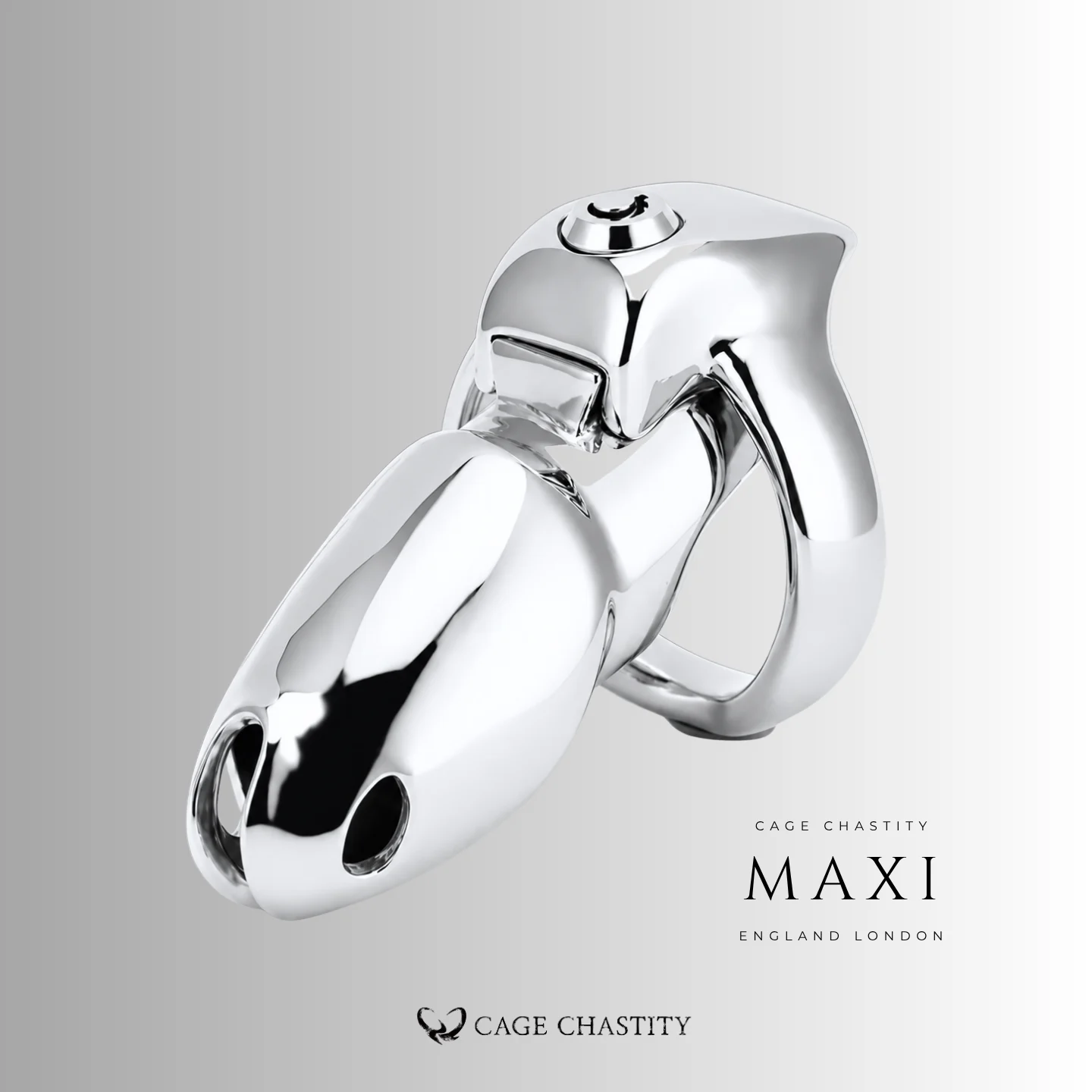 Maxi Holy Trainer V5 metal cage with Click & Lock closure