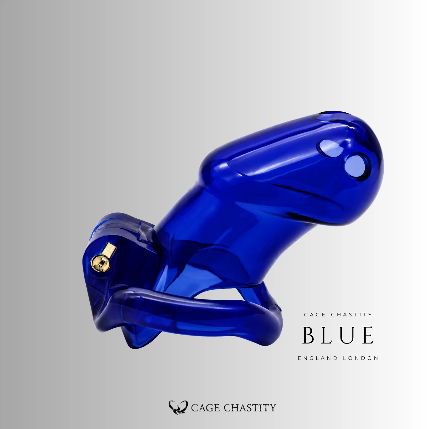 Blue HTV2 resin cage with the brass lock visible