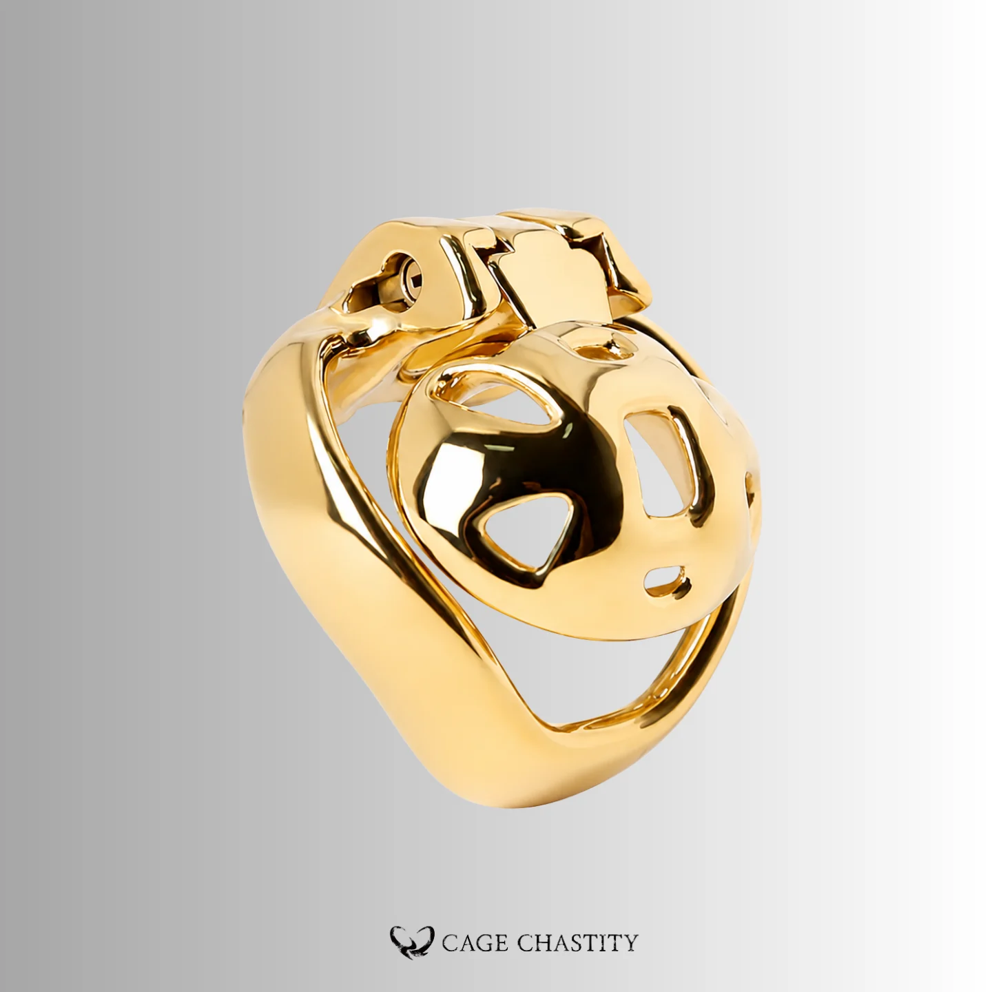 Front view of the gold HTV4 steel cage and base ring