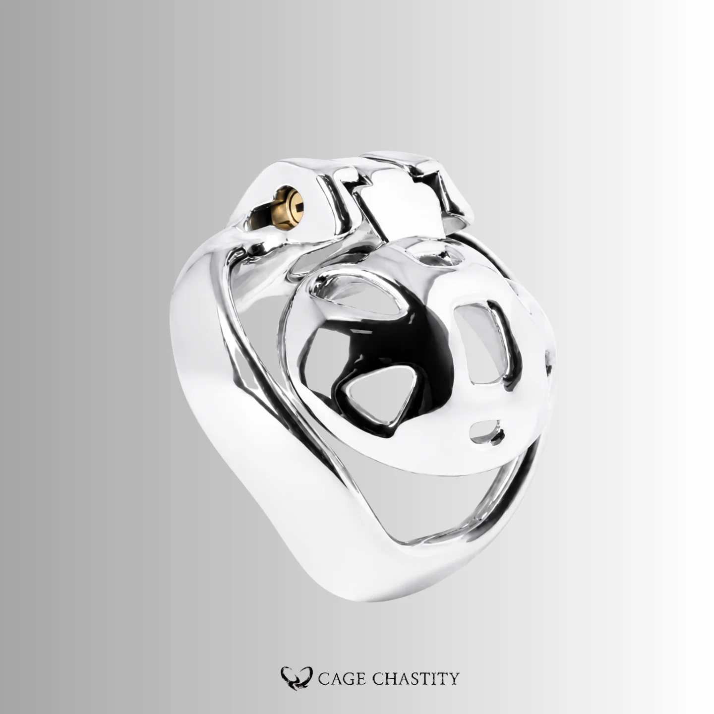 Polished silver Holy Trainer V4 seen from the cage opening