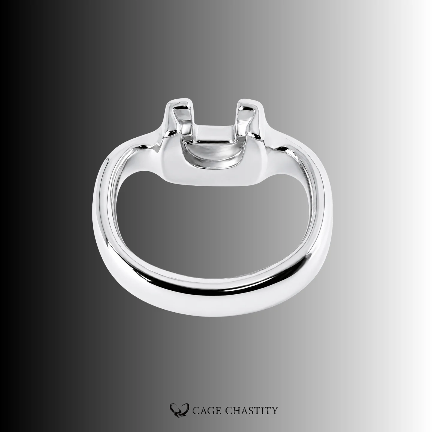 Rounded silver HT V4 ring shown straight on