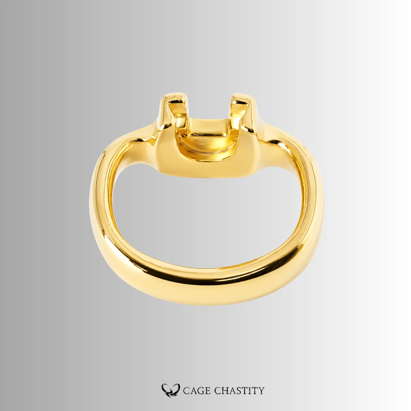 Gold Holy Trainer V4 base ring with a wider oval profile