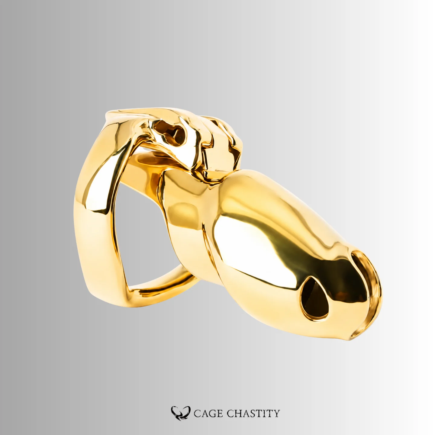 Gold Holy Trainer V4 metal cage attached to matching ring