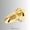 Side profile of the gold HTV4 cage and locking ring