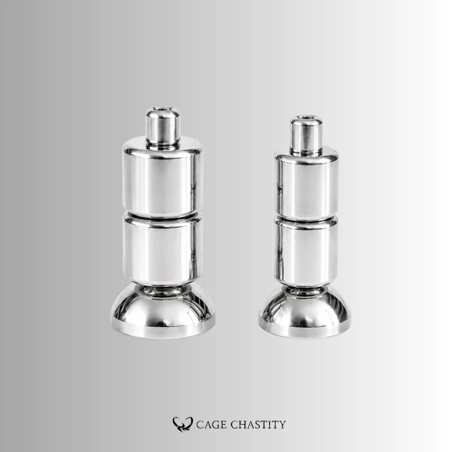 Two dual-layer Ucap cores in matching polished steel